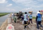 Di Bawah Terik Matahari, TNI dan Warga Tetap Semangat Bangun Jalan Usaha Tani di Gondoharum